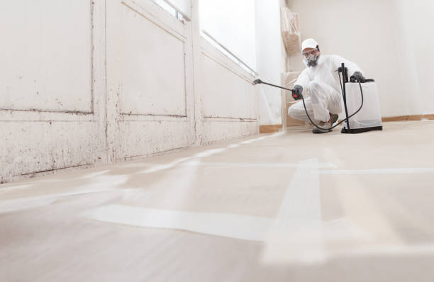 24/7 Emergency Attic Mold Removal experts in Schaumburg, IL